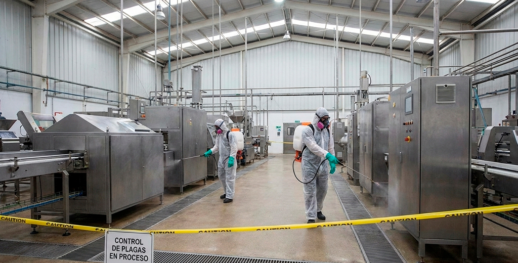 Control de plagas en empresas: Protección de instalaciones, personal y reputación (más allá de la limpieza)